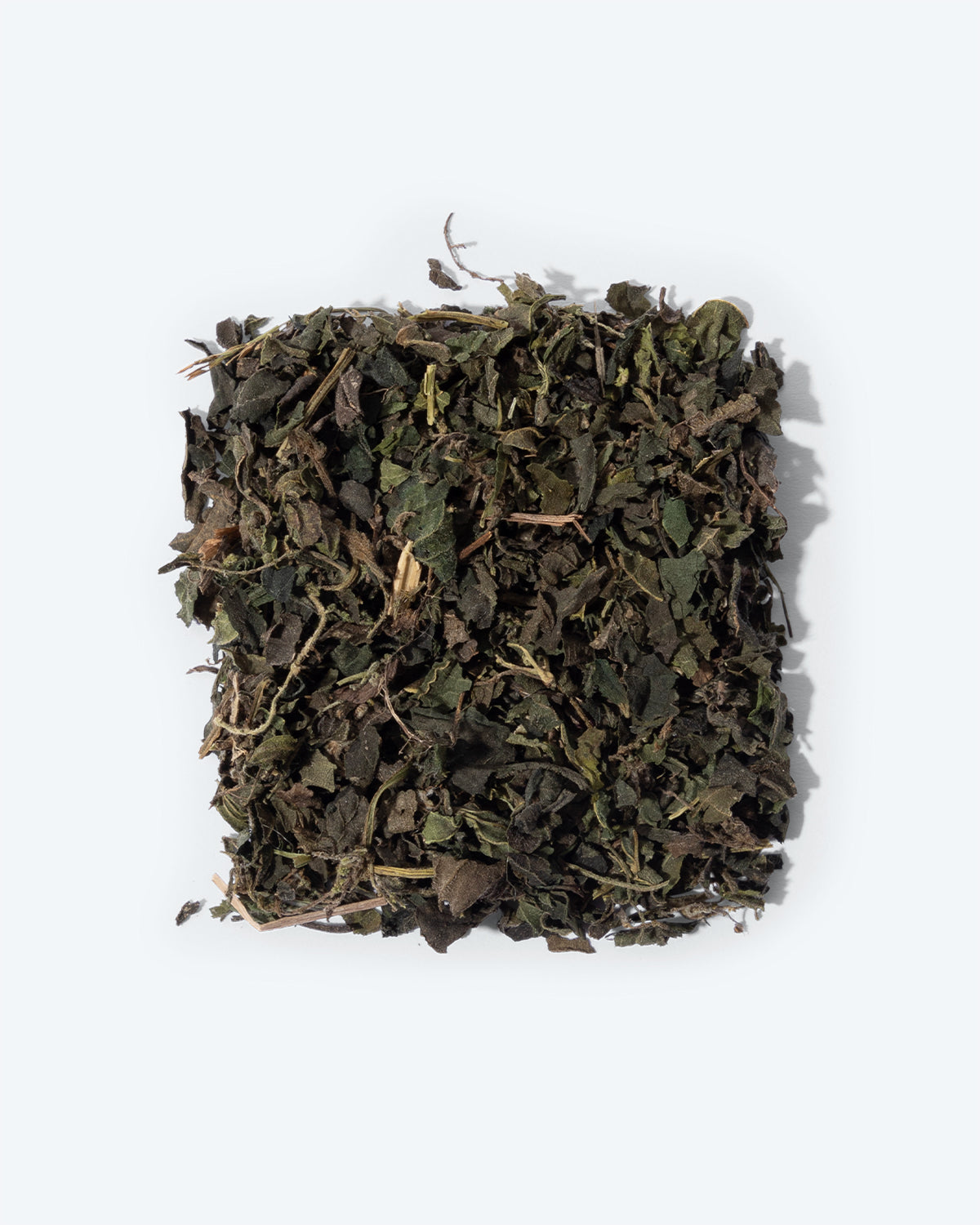 Delicate brandetel leaves in mottled light and dark shades of green, reflecting the full, mellow flavor of our nettle tea.