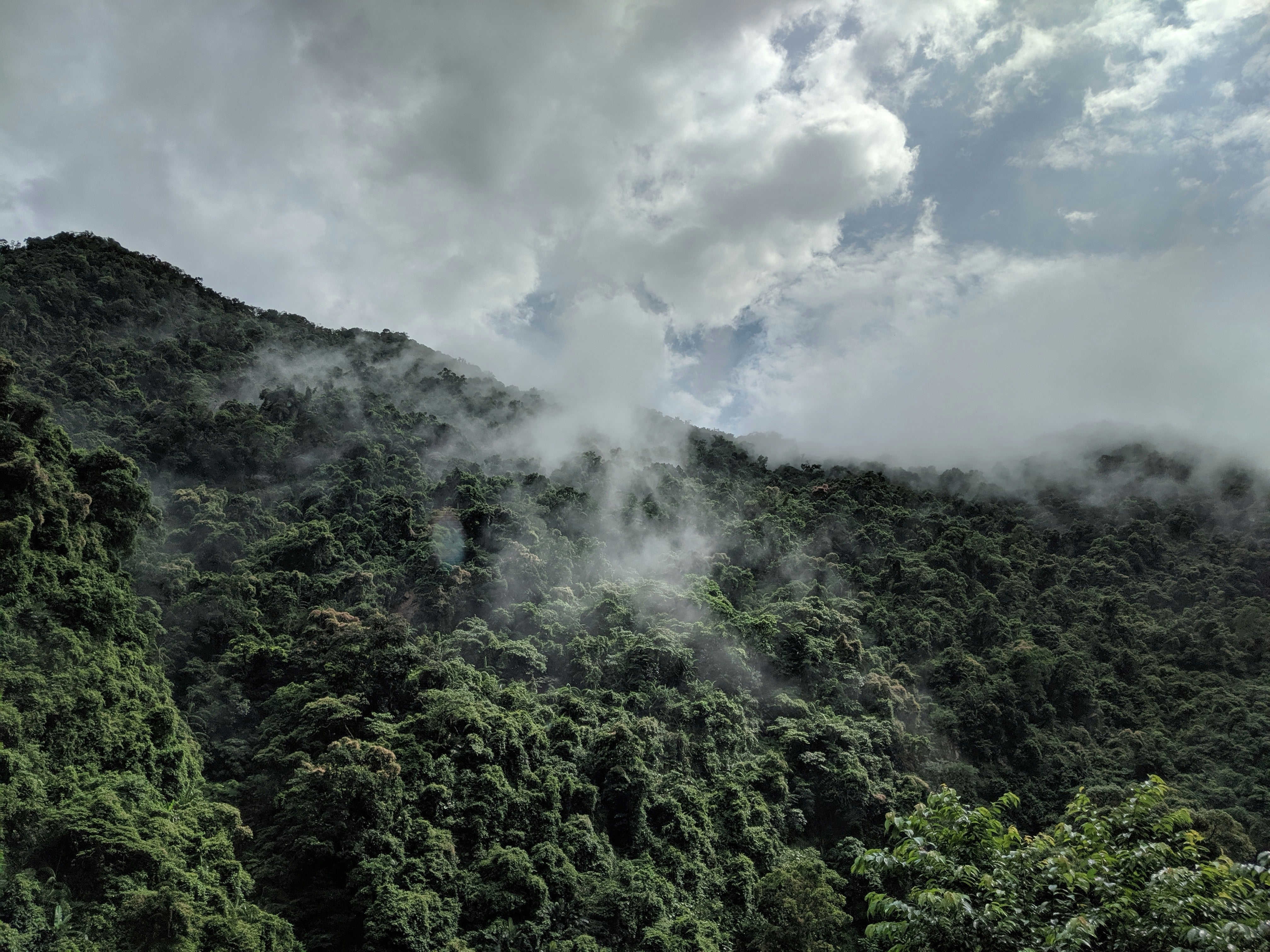The excellence of Taiwanese tea